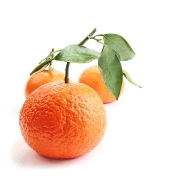 Oranges and white Stock Photos