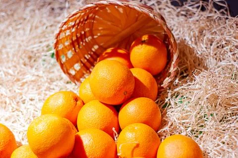 Oranges with a basket in the manger. Stock Photos