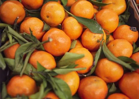 Oranges In Box Stock Photos
