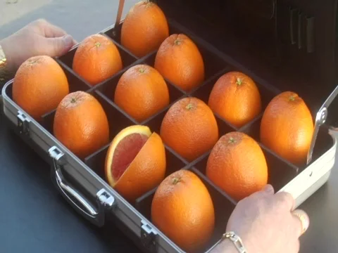 Oranges in Briefcase Vídeo Stock 356661