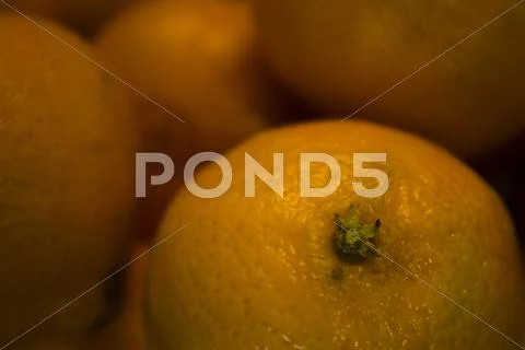 Oranges Close-Up Stock Photos