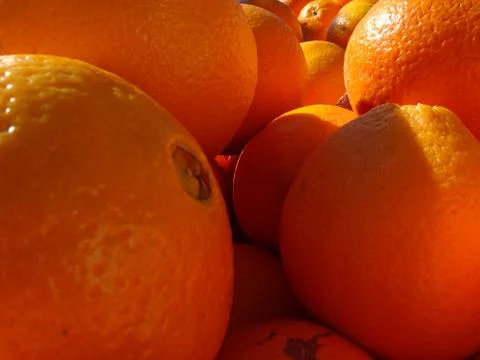 Oranges close-up Stock Photos