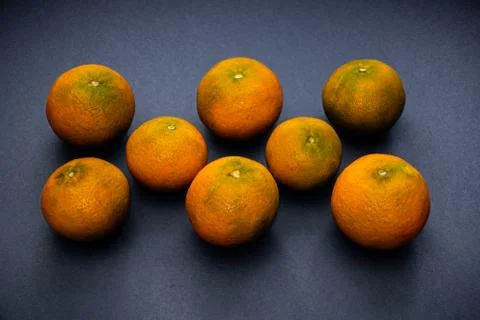 Oranges with cool colours 스톡 사진