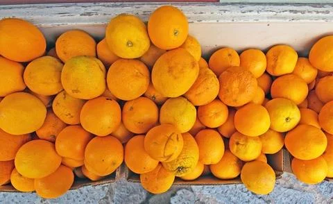 Oranges on display Stock Photos