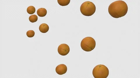 Oranges Falling on Alpha Background Stock Footage 335242330