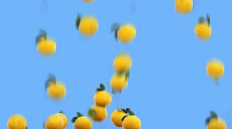 Oranges falling . Realistic animation.Isolate green screen Stock Footage 68979174