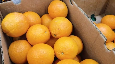 Oranges Fruit in a Box Stock Footage 258388206