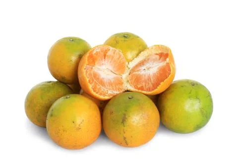 Oranges fruit Stock Photos