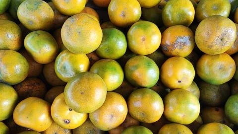 Oranges fruit Foto stock