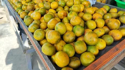 Oranges fruit 스톡 사진