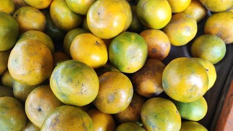 Oranges fruit Foto stock