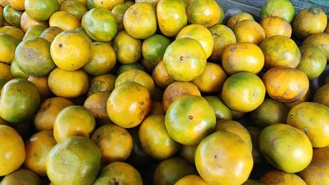 Oranges fruit Stock-Fotos