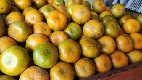 Oranges fruit Foto stock