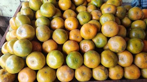 Oranges fruit Foto stock