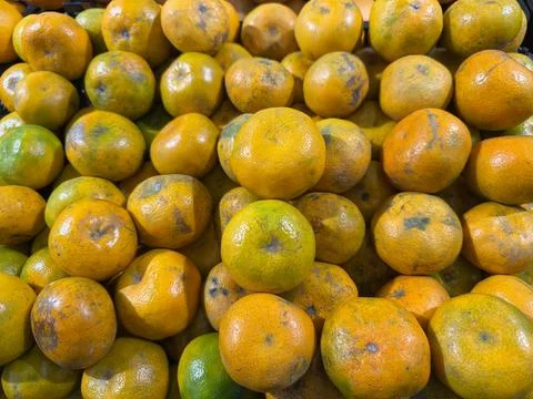 Oranges fruit 库存照片