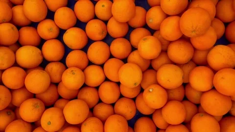 Oranges fruit top view Stock Footage 240425112