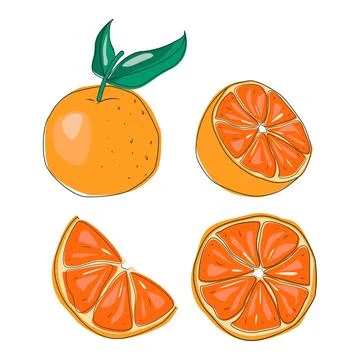 Oranges fruit vector Stock Illustration