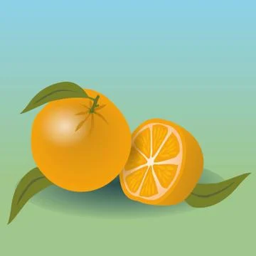 Oranges Illustrazione stock
