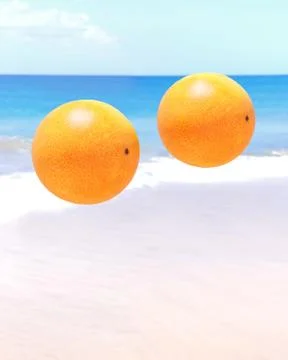 Oranges Stock Illustration