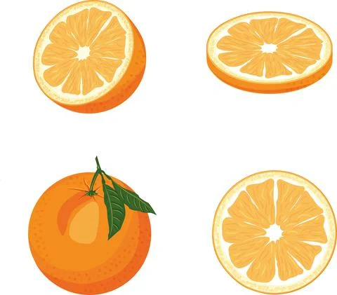 Оranges Stock Illustration