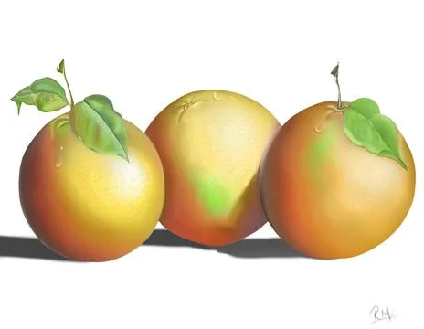 Oranges illustration art Stock Illustration