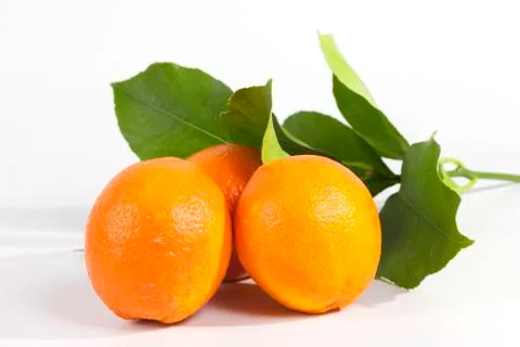 Oranges isolated Stock Photos