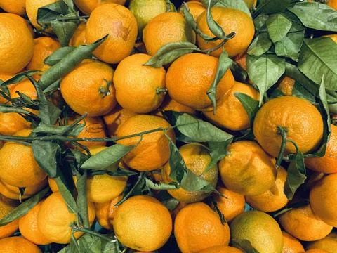 Oranges with leaves Stock Photos