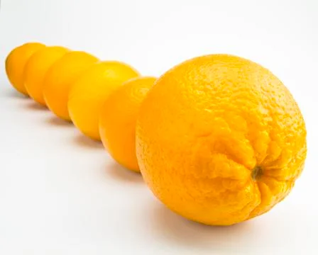 Oranges in line isolated on a white background Stock Photos