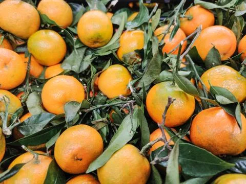Oranges, mandarins background and texture Stock Photos