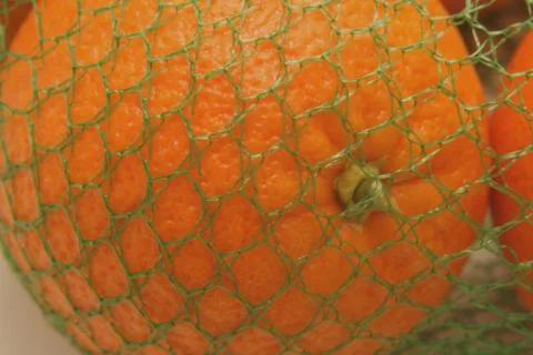 Oranges in a net Stock Photos