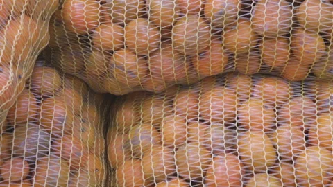 Oranges packed in plastic mesh bag Stock Footage 138127056