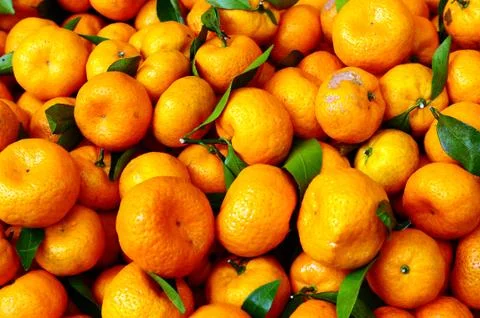 Oranges Stock Photos