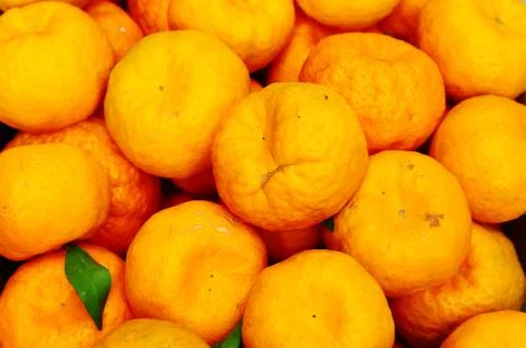 Oranges Stock Photos