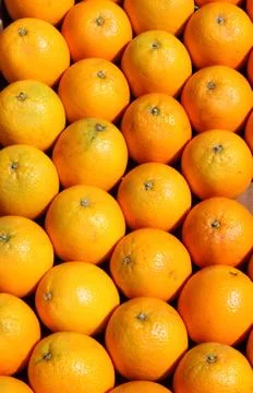 Oranges Stock Photos