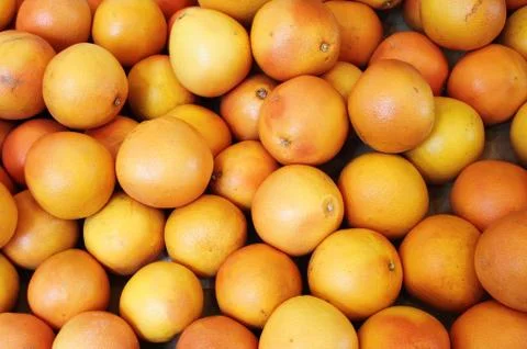 Oranges Stock Photos