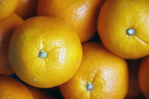 Oranges Stock Photos