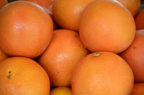 Oranges Stock Photos