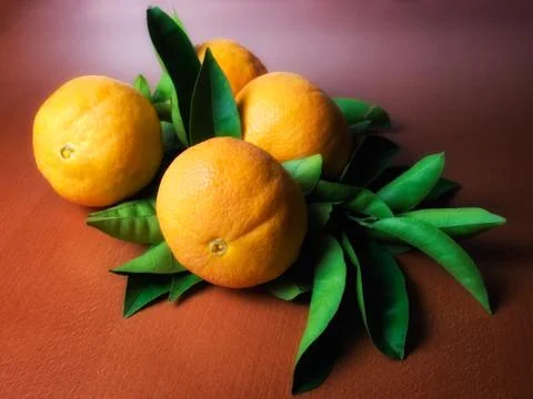 Oranges Foto stock