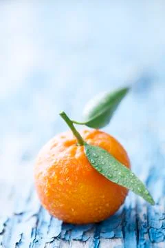 Oranges Stock Photos