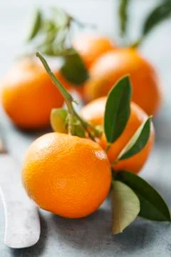 Oranges Stock Photos