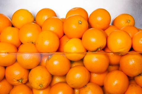 Oranges Stock Photos