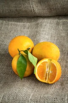 Oranges Stock Photos