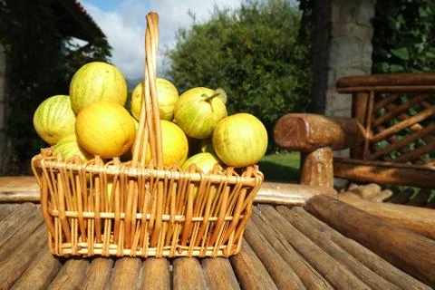 Oranges Stock Photos