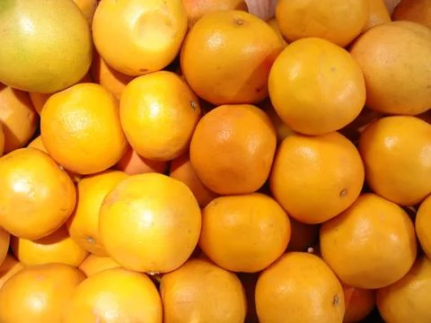 Oranges Stock Photos