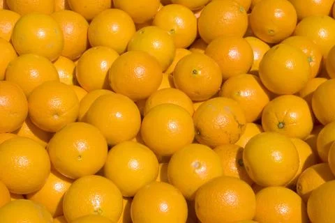 Oranges Foto stock