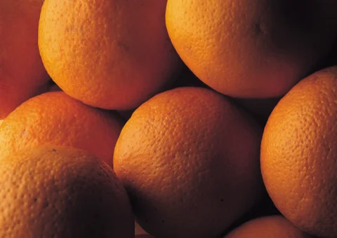 Oranges Stock Photos