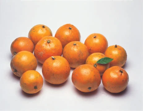 Oranges Stock Photos
