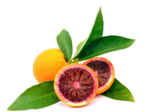 Oranges Stock Photos