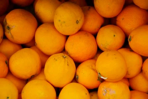 Oranges 스톡 사진