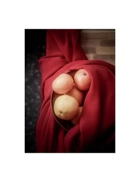 Oranges Stock Photos